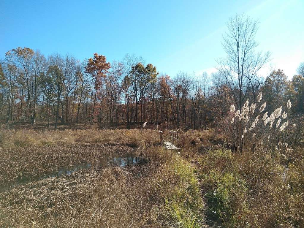 Sasso Tract / Beaver Brook | Boonton, NJ 07005, USA