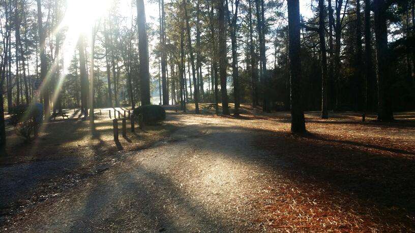 Chester State Park | 759 State Park Rd, Chester, SC 29706 | Phone: (803) 385-2680