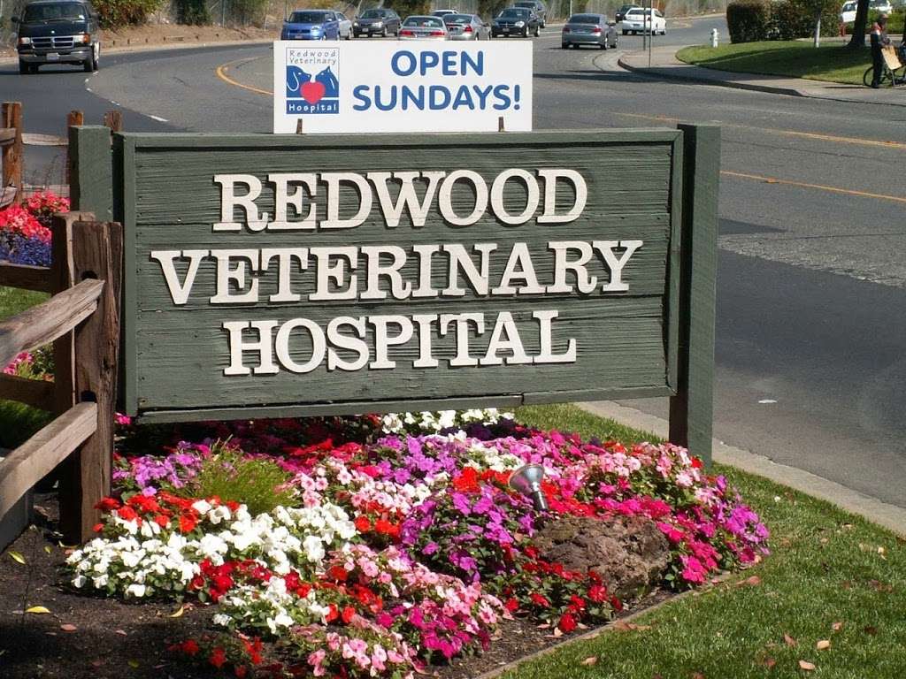 Redwood Veterinary Hospital | 731 Admiral Callaghan Ln, Vallejo, CA 94591, USA | Phone: (707) 553-1400