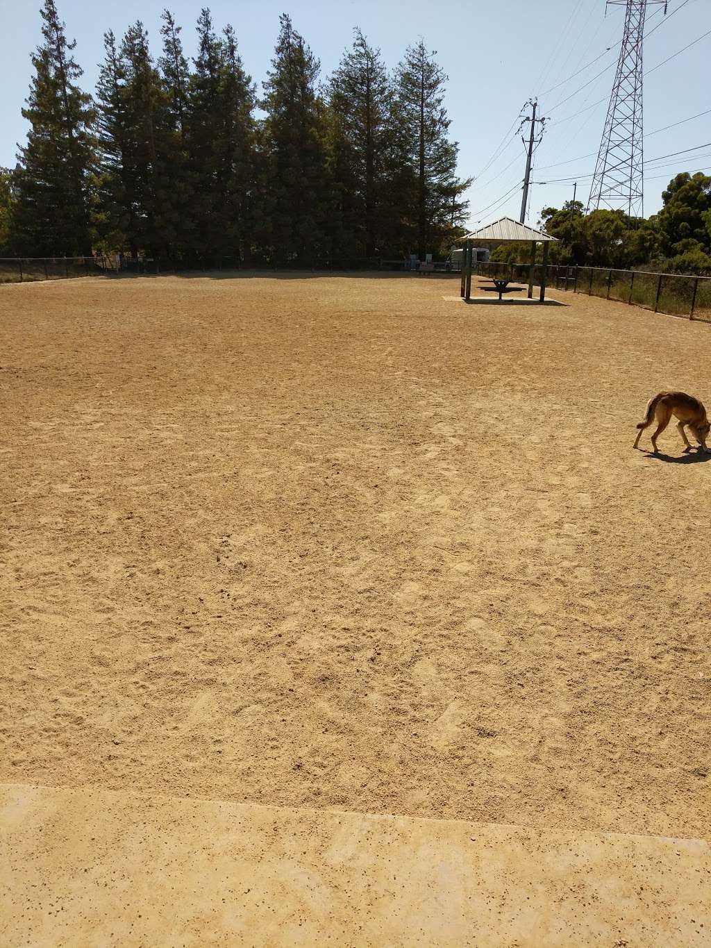 Dog Park | N Shoreline Blvd & North Rd, Mountain View, CA 94043, USA | Phone: (650) 903-6392