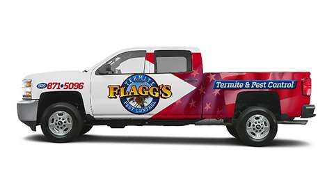 Flaggs Pest Control | 20 Hess Ave, Beverly, NJ 08010, USA | Phone: (609) 871-5096