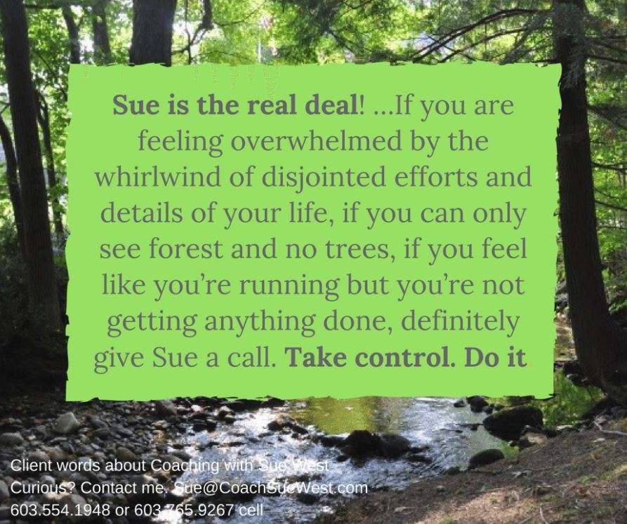 Sue West, Life/Personal Productivity Coach. Adult ADHD Specialty | Post Office Box 231, 199 STATE ROUTE 101 UNIT 4D, Amherst, NH 03031, USA | Phone: (603) 554-1948