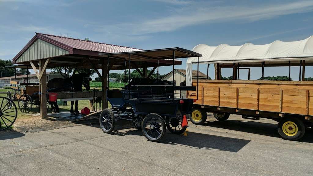 Buggy rides at Antique Barn | 3509669900000, Bird in Hand, PA 17505, USA | Phone: (717) 371-0876