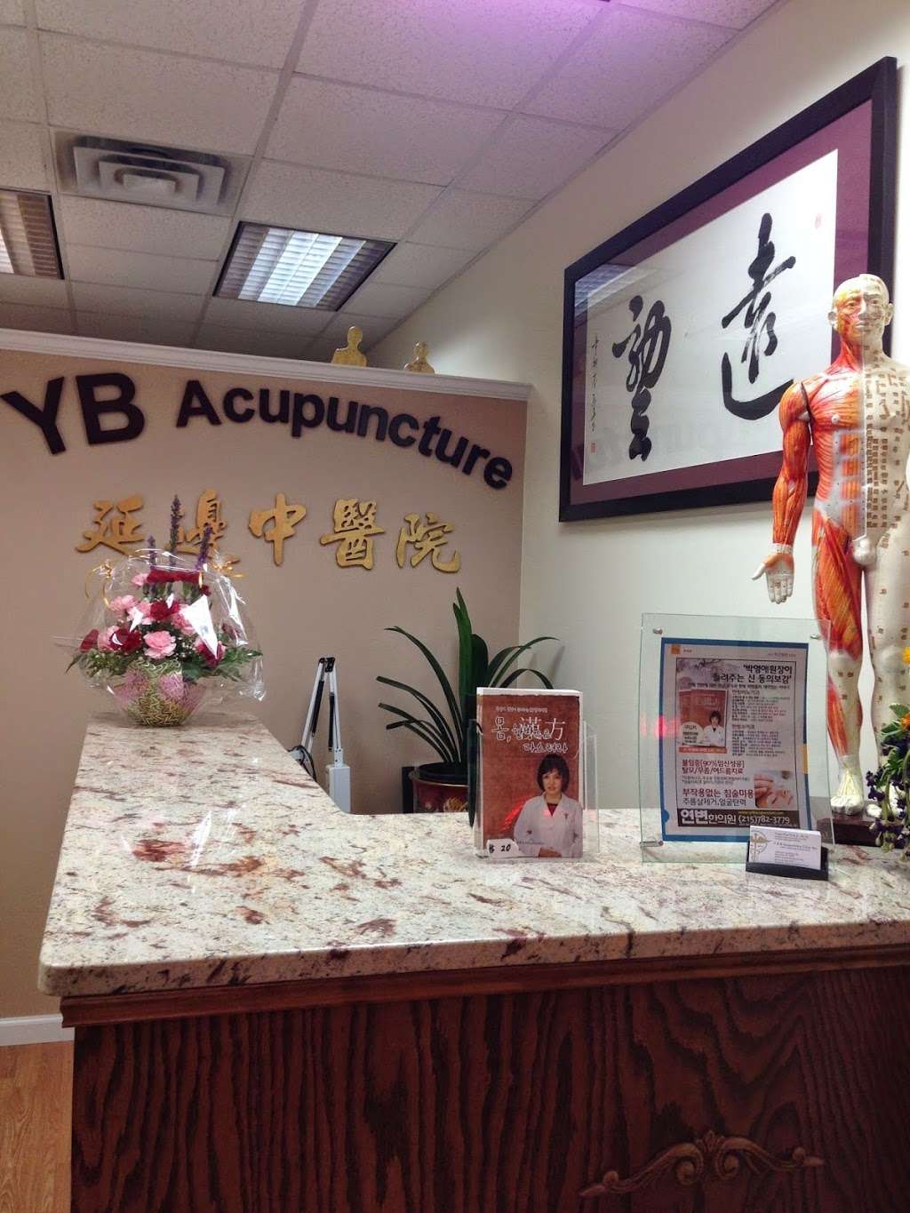 Y B Acupuncture Clinic Inc | 7300 Old York Rd #202, Elkins Park, PA 19027, USA | Phone: (215) 782-3779