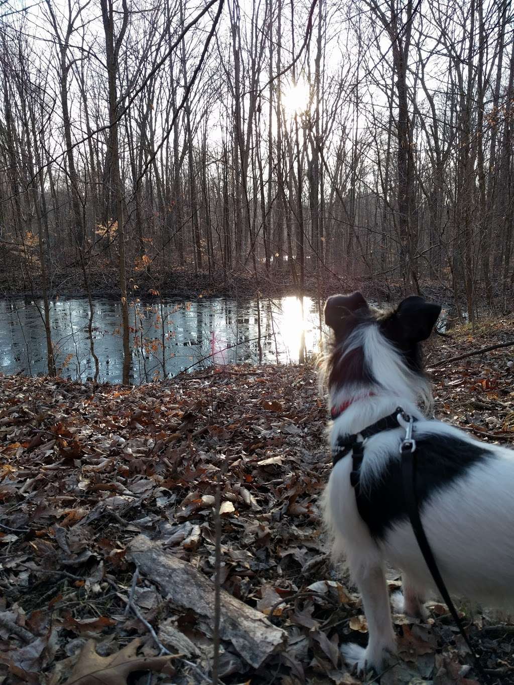 Trevlac Bluffs Nature Preserve | IN-45, Nashville, IN 47448, USA | Phone: (812) 336-5382