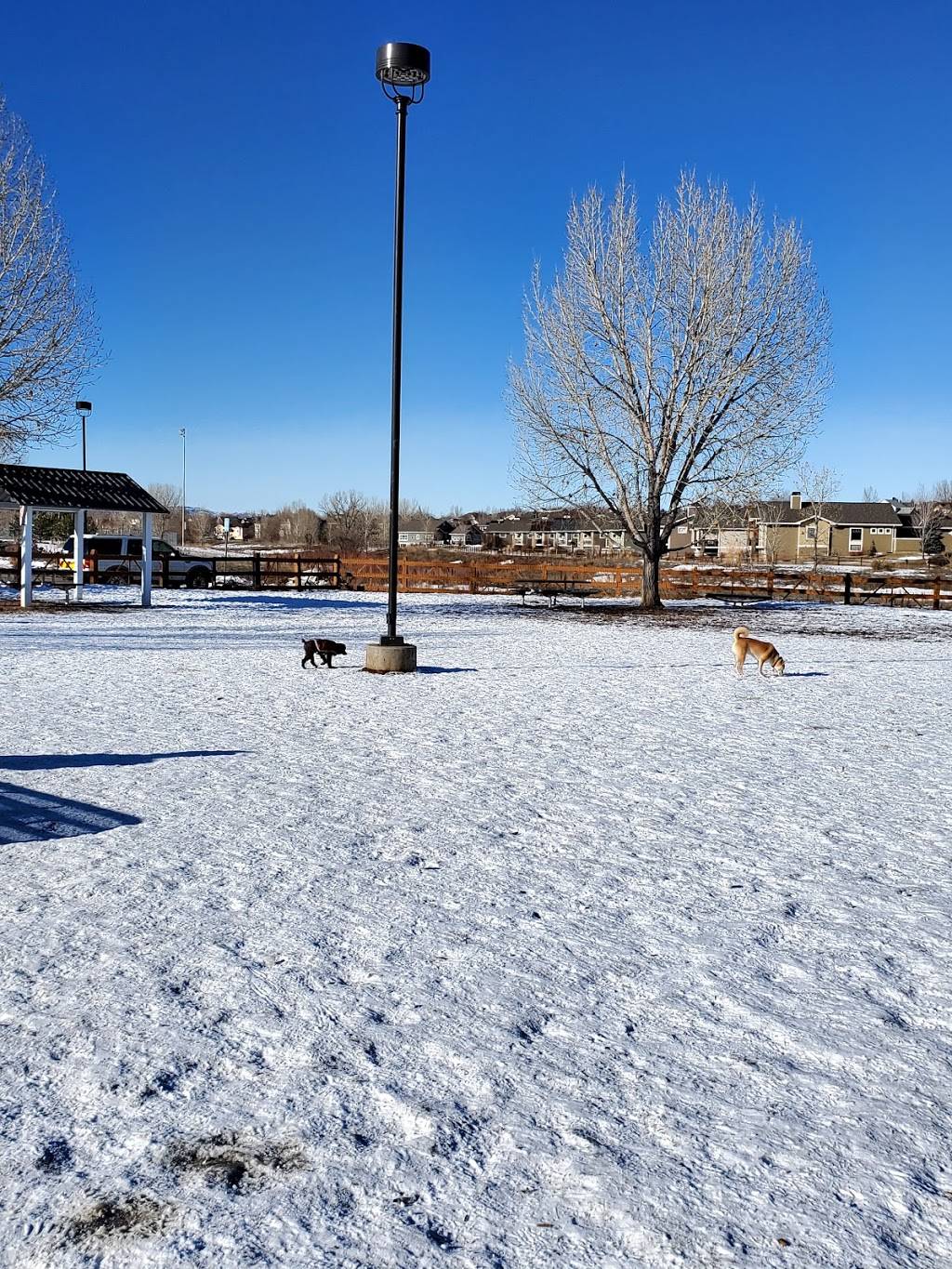 Fossil Creek Dog Park | 5883-5901 S Lemay Ave, Fort Collins, CO 80525, USA | Phone: (970) 221-6660