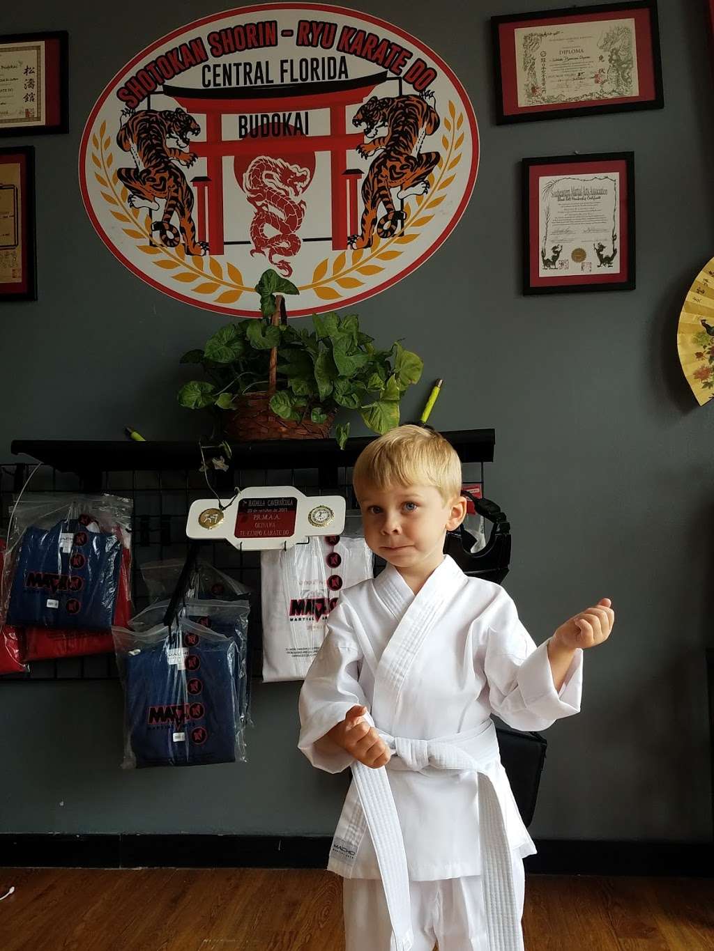 Central Florida Budokai Karate Do | 2000 Falcon Trace Blvd #142, Orlando, FL 32837, USA | Phone: (407) 745-4982