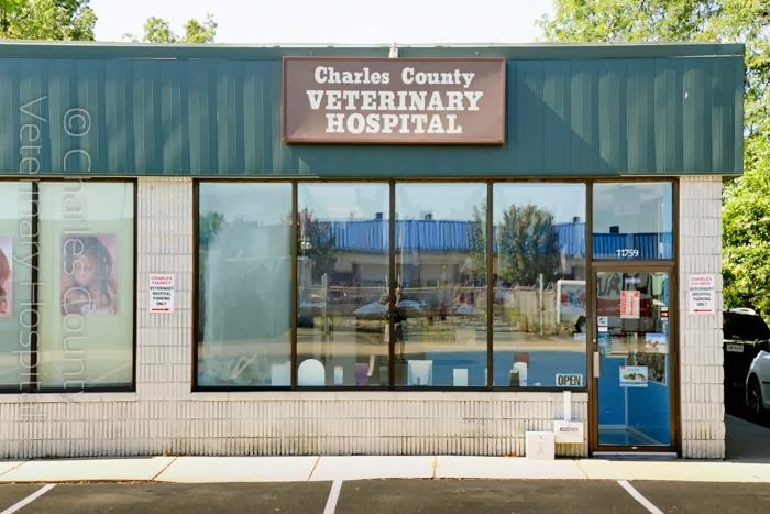 Waldorf & Charles County Veterinary Hospital | 2242 Old Washington Rd, Waldorf, MD 20601, USA | Phone: (301) 645-1120