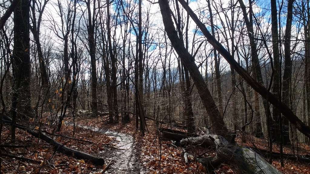 Appalachian Trail Access | Tuckers Ln, Markham, VA 22643, USA | Phone: (304) 535-6331