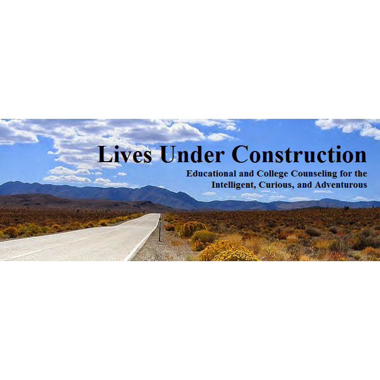 Lives Under Construction | 7350 Shenandoah Ave, Annandale, VA 22003, USA | Phone: (703) 426-1962