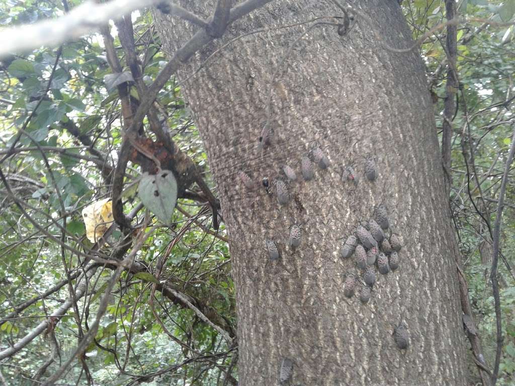 Warwick Landscape Supplies