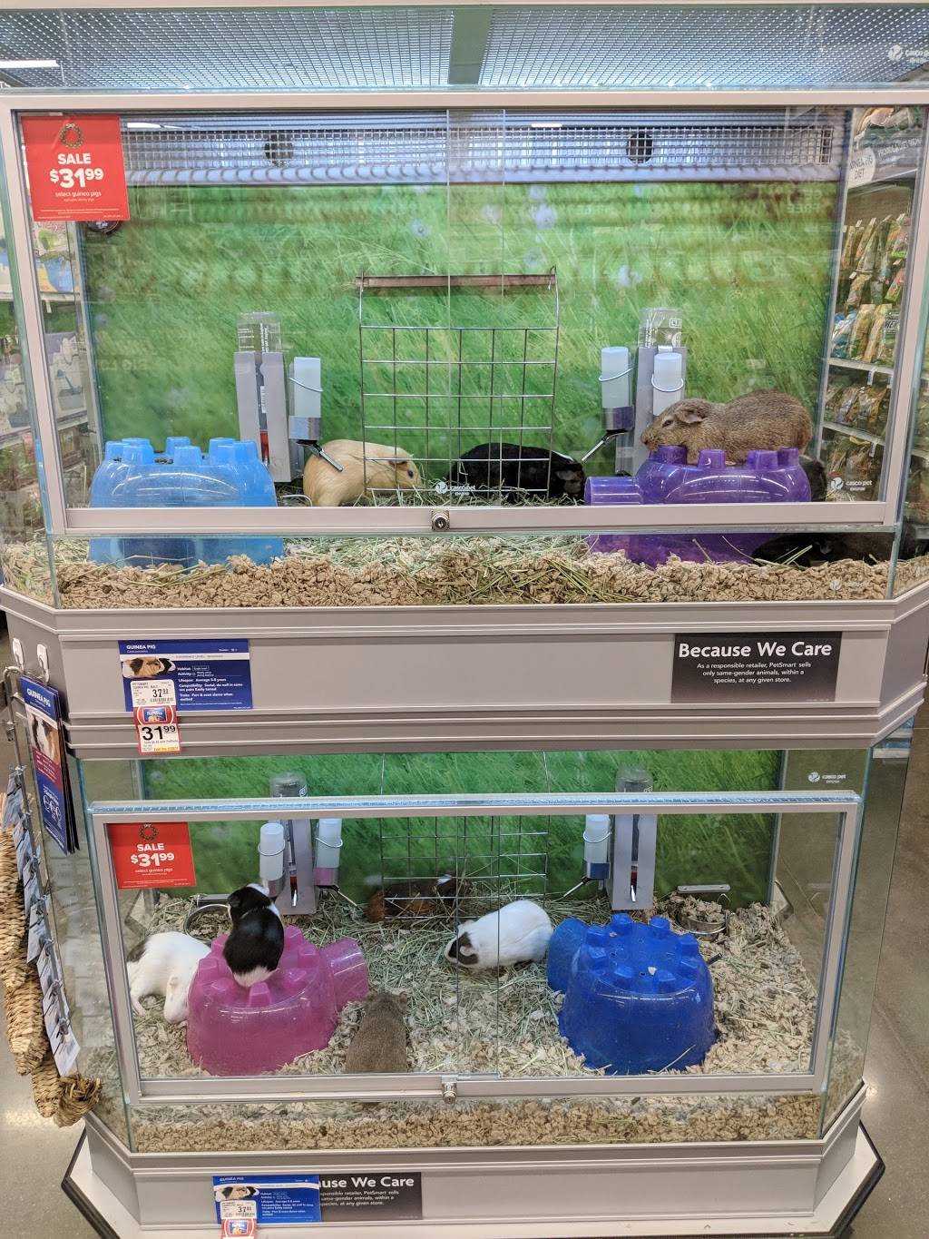 PetSmart | 8163 Sawyer Brown Rd Bldg A8, Nashville, TN 37221, USA | Phone: (615) 810-9016