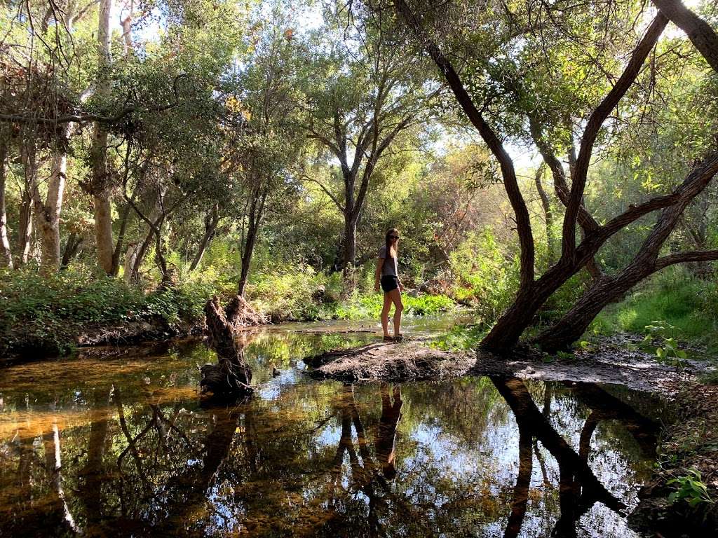 Penasquitos Creek Waterfall | Penasquitos Creek Falls, San Diego, CA 92121, San Diego, CA 92121, USA