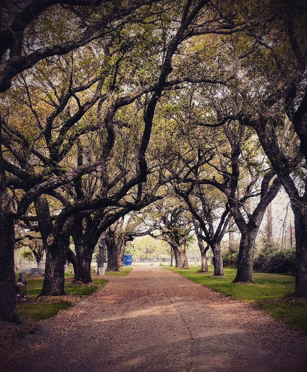 Galveston Memorial Park Cemetery | 7301 Memorial St, Hitchcock, TX 77563, USA | Phone: (409) 986-7409