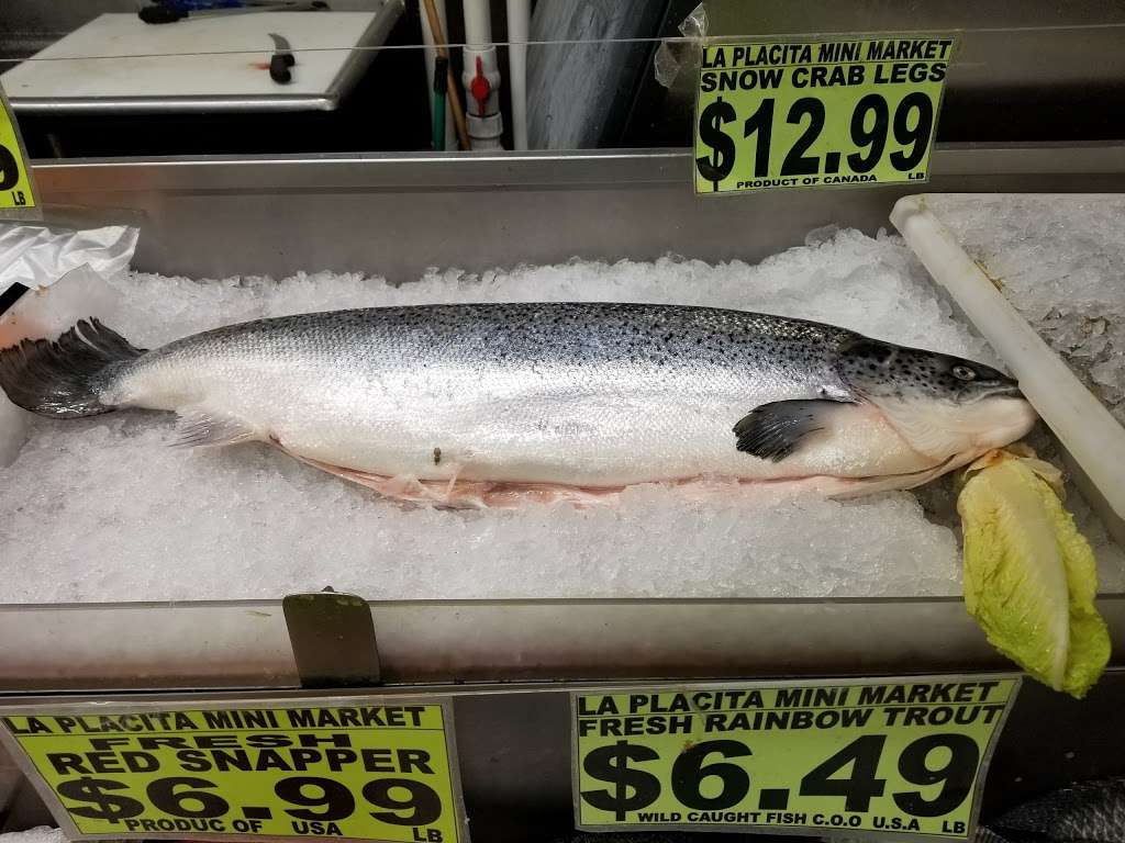 La Placita Fresh Market Inc | 152 S Highland Ave, Ossining, NY 10562, USA | Phone: (914) 762-6268
