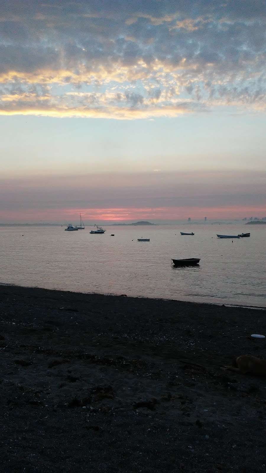 Peddocks Island | Hull, MA 02045, USA