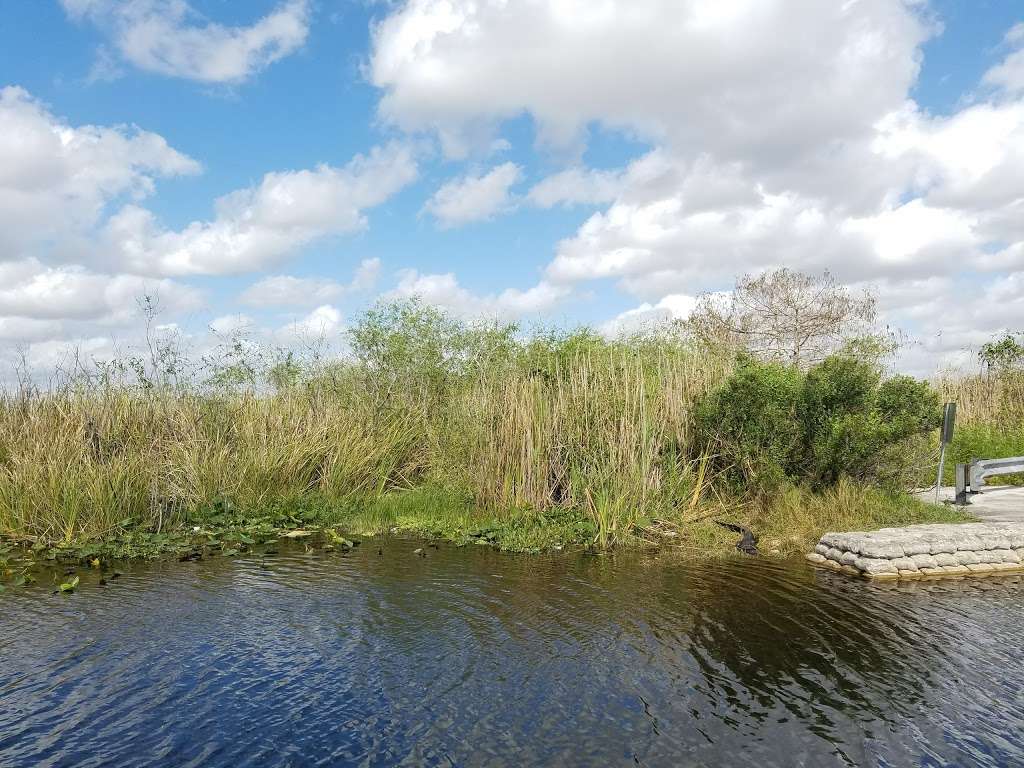 Francis S Taylor WMA | Florida, USA