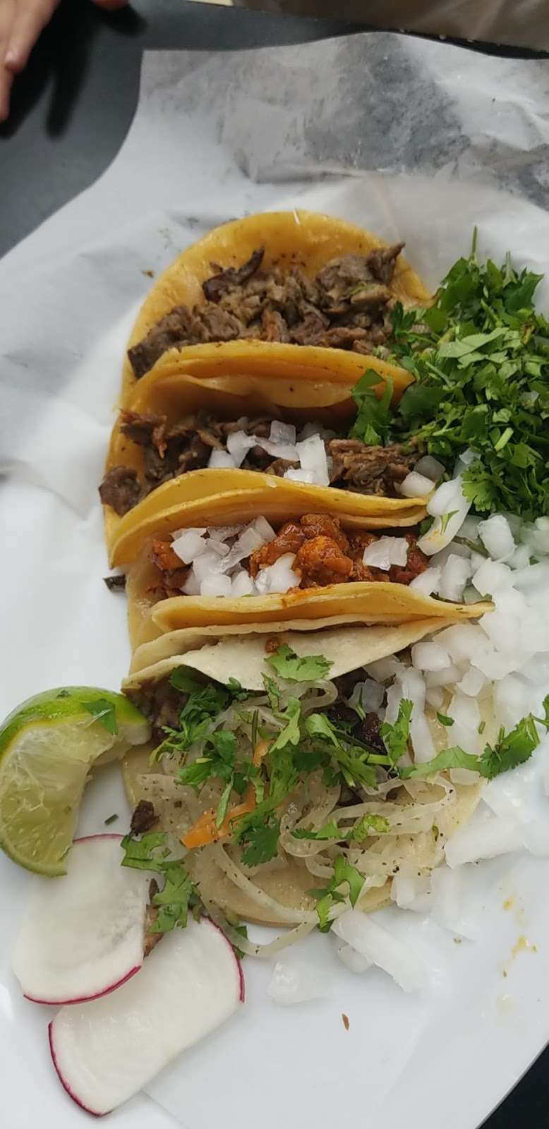 La Salsa Verde Taqueria | 2728 Community Dr, Dallas, TX 75220, USA | Phone: (214) 366-0999