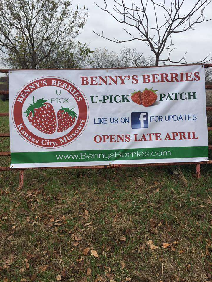 Bennys Berries | 729 Kenneth Rd, Kansas City, MO 64145, USA | Phone: (913) 313-6273