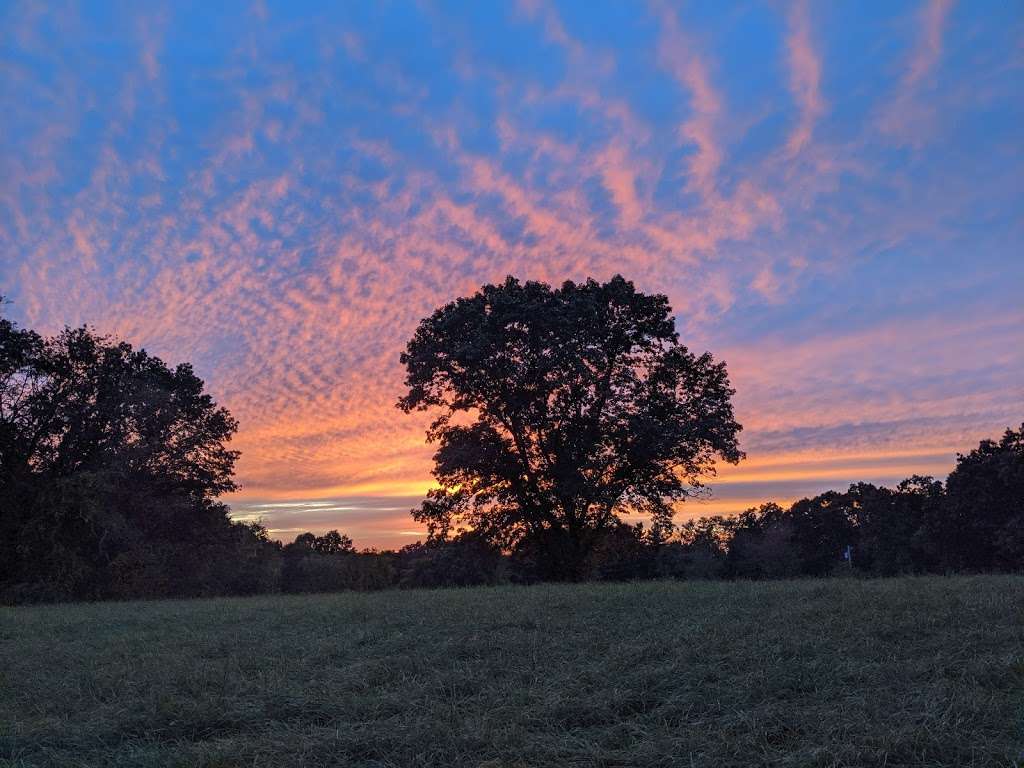 Felton Conservation Area | Marlborough, MA 01752, USA