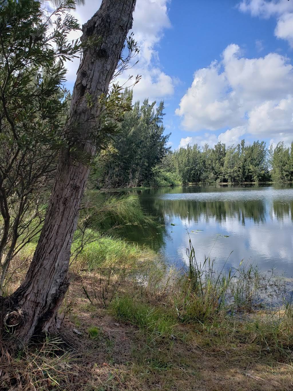 Silver Lakes Rotary Nature Park | 5695 SW 52nd Ave, Davie, FL 33314, USA | Phone: (954) 797-1147