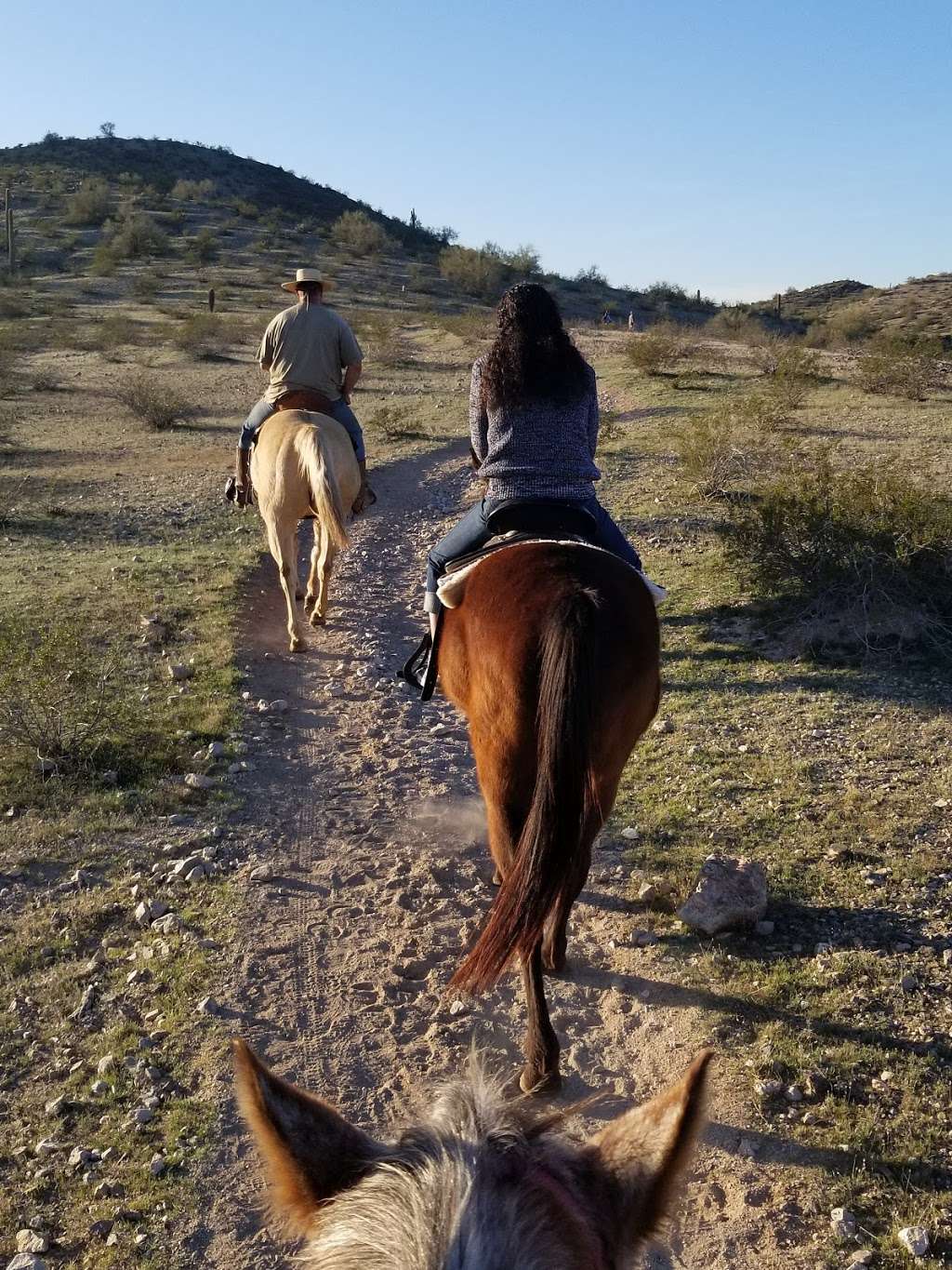 Corral West Horse Adventures | 14401 W Arena Dr #9019, Goodyear, AZ 85338, USA | Phone: (480) 450-2651