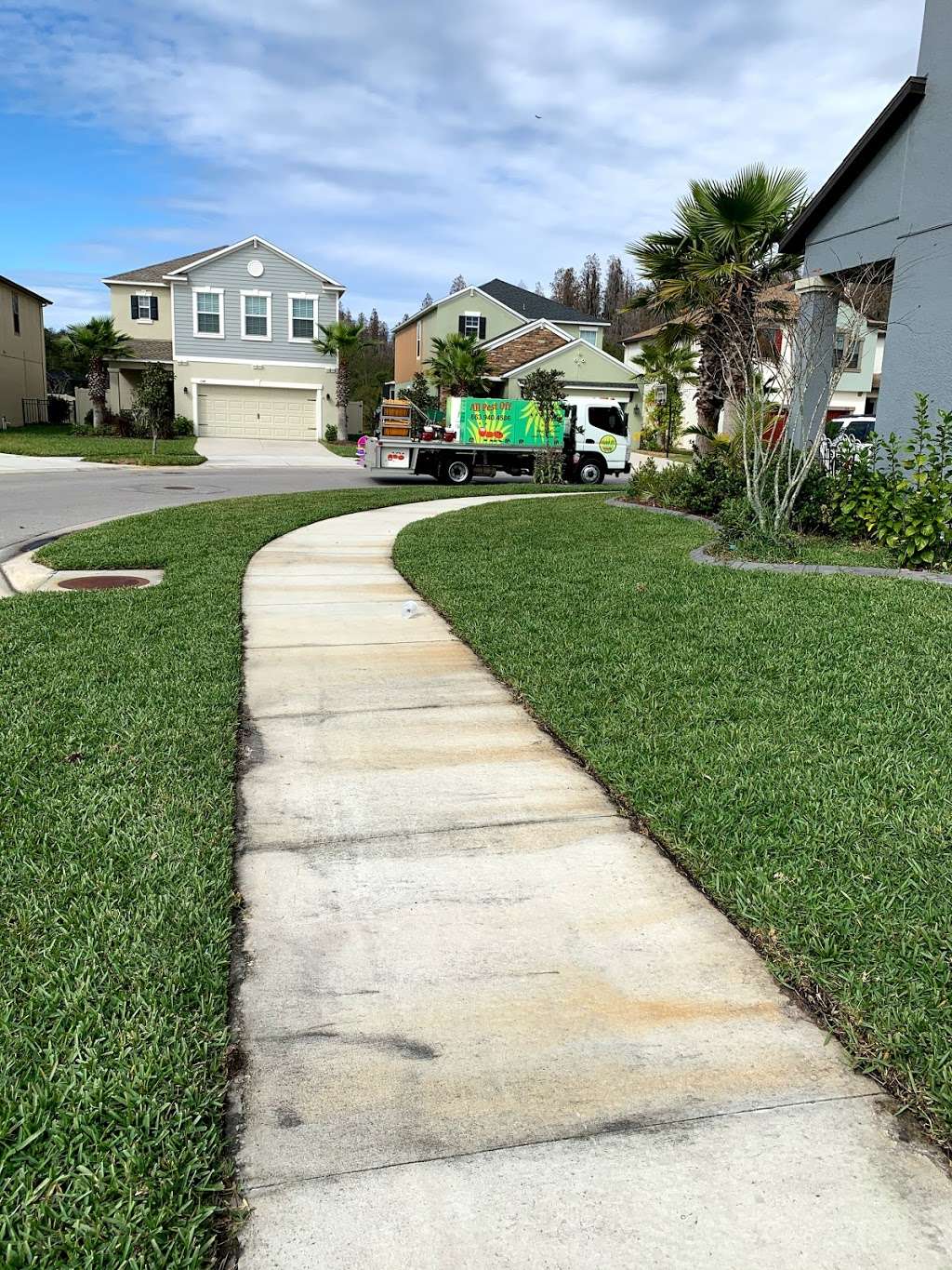 All Pest Off | Lakeland, FL | Phone: (863) 940-4586