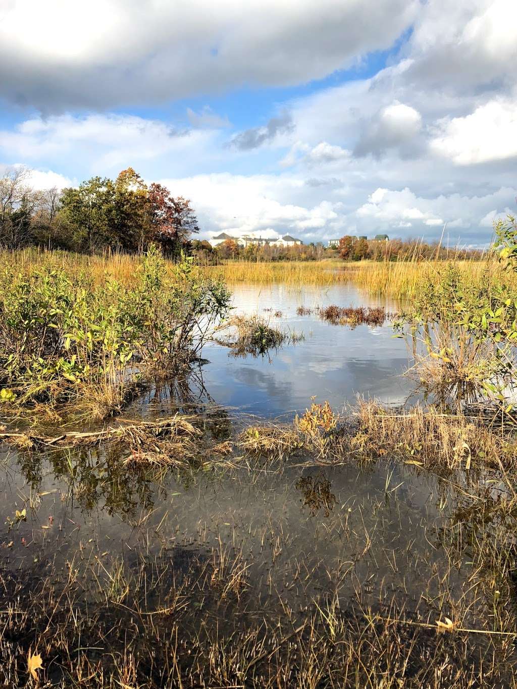 Billings Creek Salt Marsh Trail | Quincy, MA 02171, USA