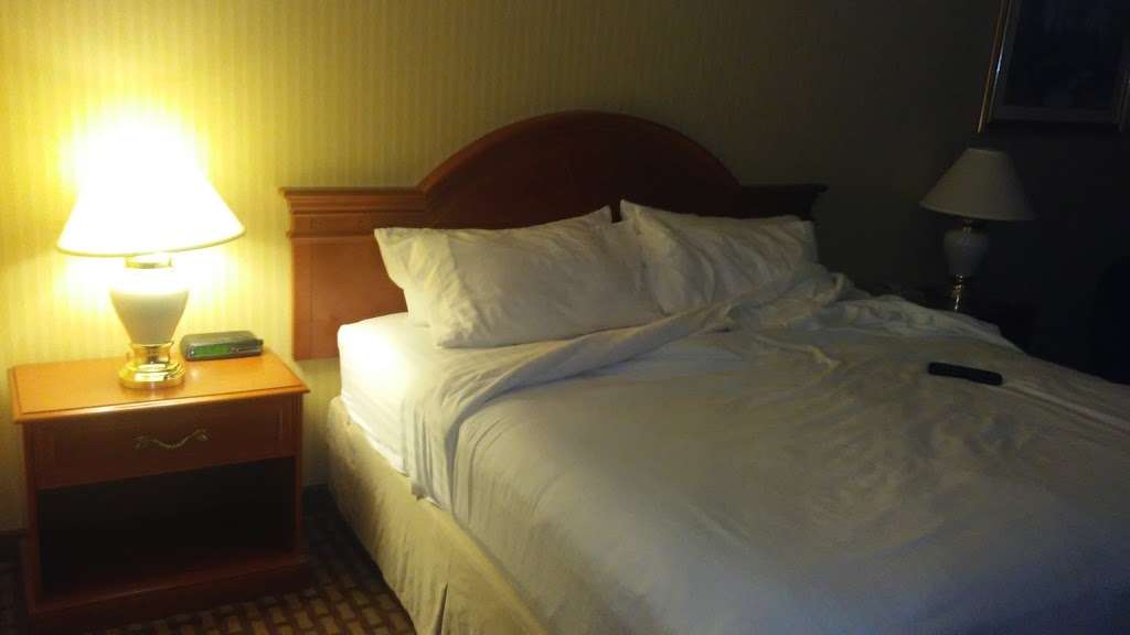 Holiday Inn Middletown-Goshen | 68 Crystal Run Rd, Middletown, NY 10941, USA | Phone: (845) 343-1474