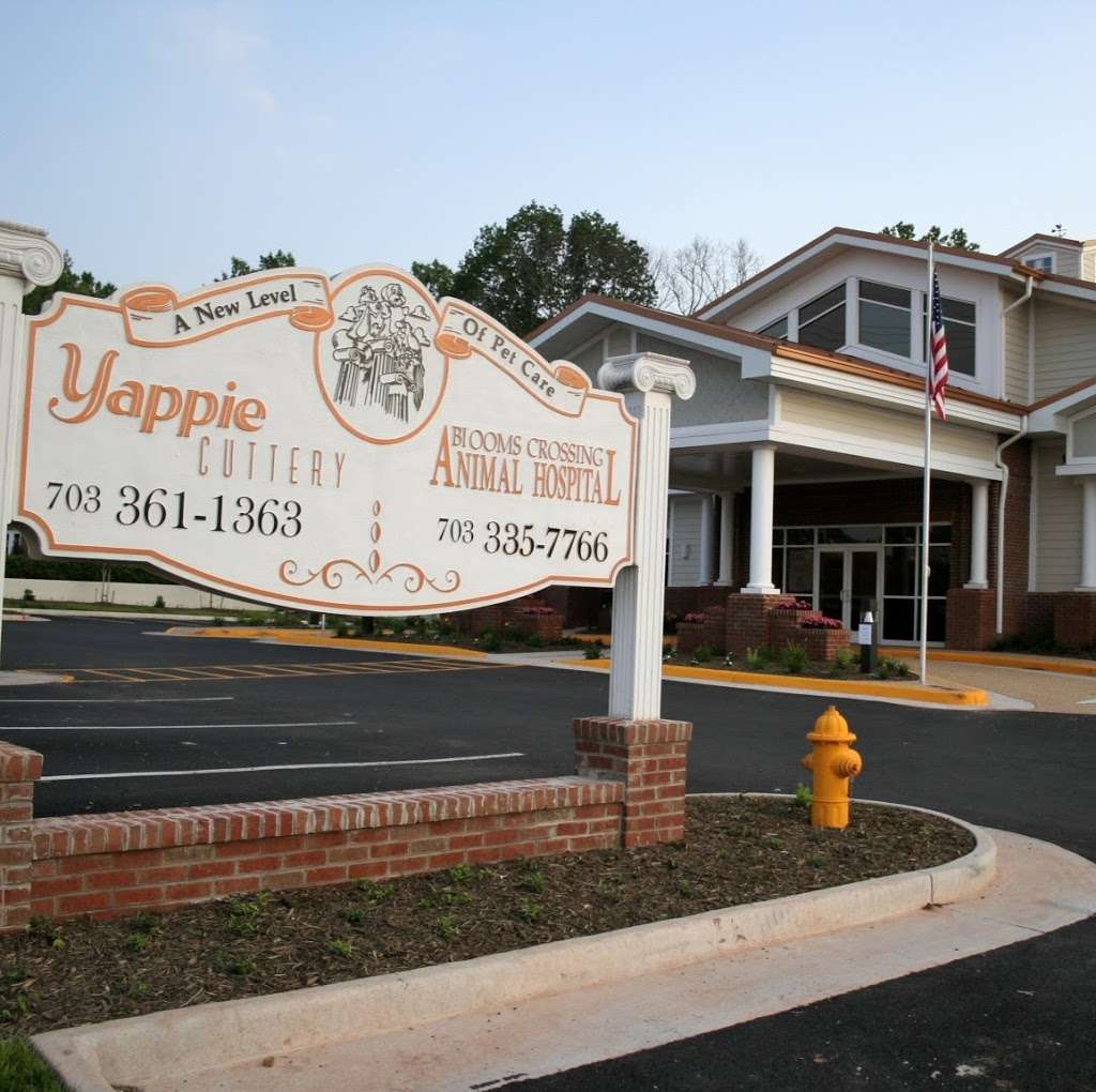 Yappie Cuttery | 9471 Manassas Dr, Manassas Park, VA 20111 | Phone: (703) 361-1363