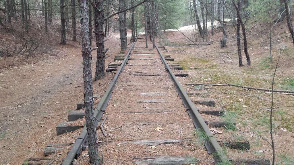 Hopbrook Marsh Conservation Land | Sudbury, MA 01776