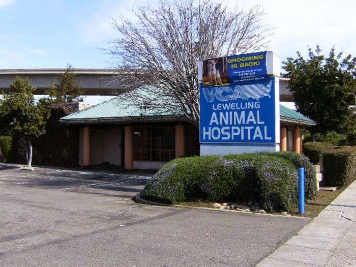VCA Lewelling Animal Hospital | 525 Lewelling Blvd, San Leandro, CA 94579, USA | Phone: (510) 357-4227