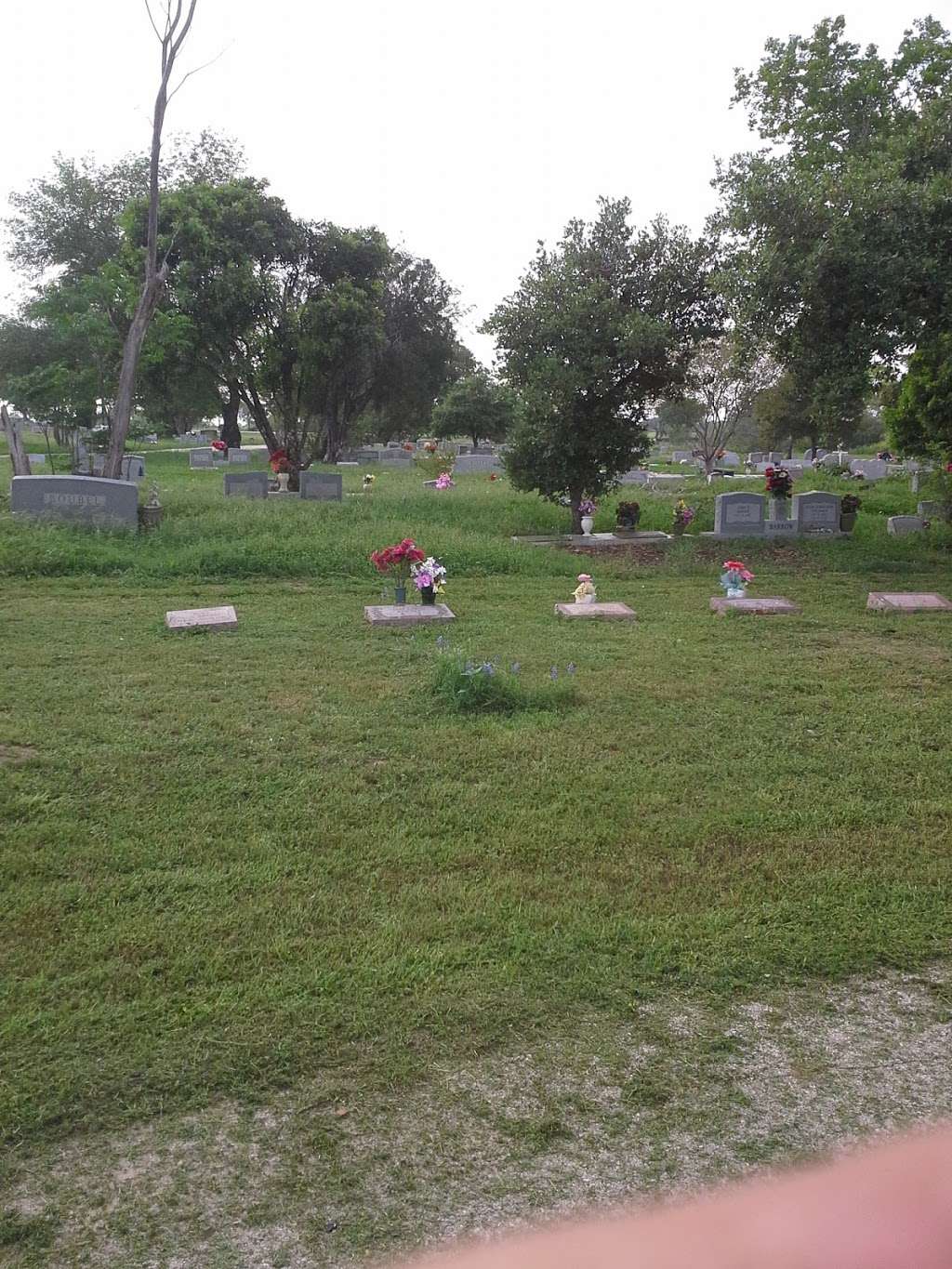 Bexar Cemetery | Somerset, TX 78069