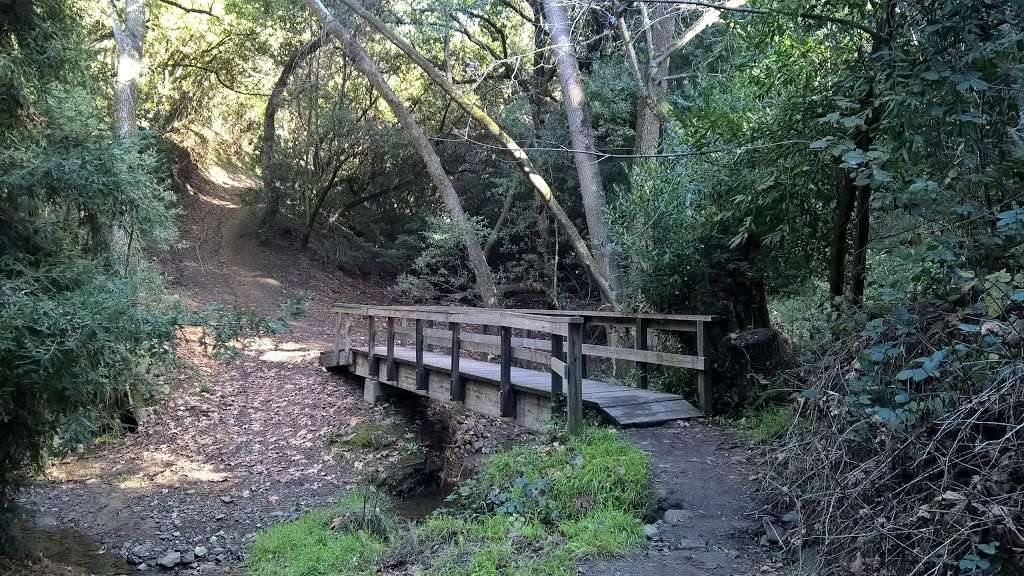 Greenbelt Trails Hiking and Horseback Riding | Hayward Plunge Trail, Hayward, CA 94542, USA