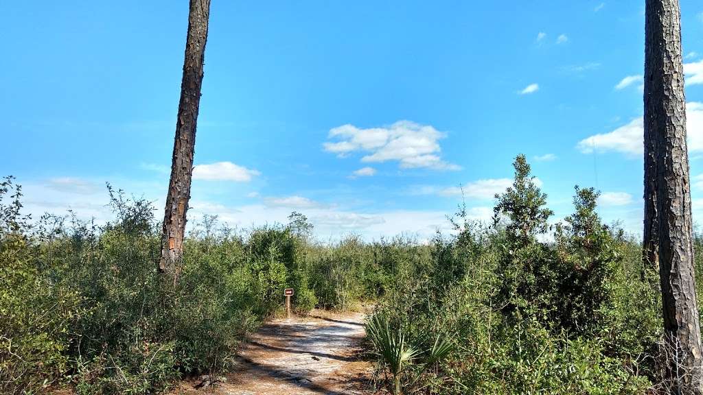 Pine island hiking trail | 2100 W French Ave, Orange City, FL 32763, USA