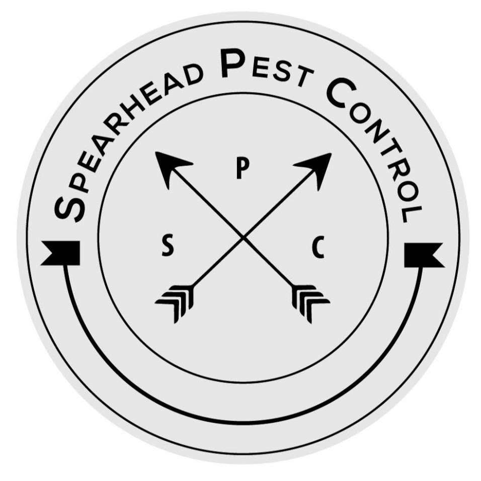Spearhead Pest Control | 1084 Britten Ln #206, Ventura, CA 93003, USA | Phone: (805) 746-4547