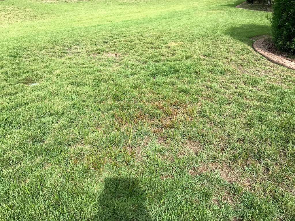 Falcon Lawn & Pest | 3100 NE 37th Pl, Wildwood, FL 34785, USA | Phone: (352) 689-0050