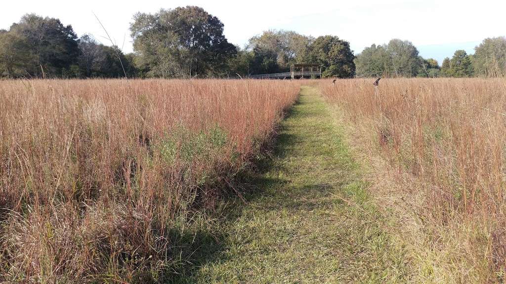 Armand Bayou Nature Center | 8500 Bay Area Blvd, Pasadena, TX 77507, USA | Phone: (281) 474-2551