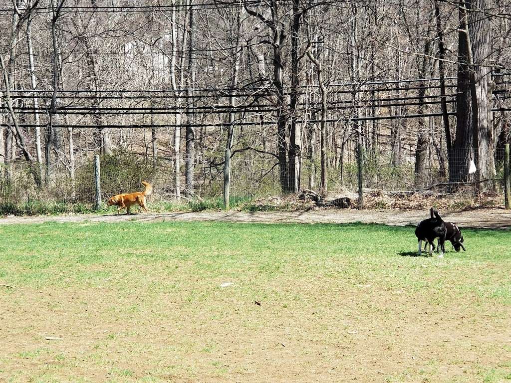 Central Park County Dog Park | Collins Rd, Morris Plains, NJ 07950, USA | Phone: (973) 326-7600