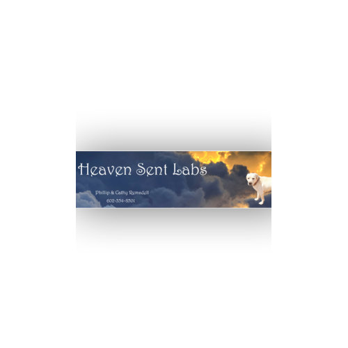 Heaven Sent Labs | 7407 W Ellis Dr, Laveen Village, AZ 85339, USA | Phone: (602) 354-8501