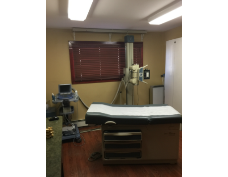 Chiropractor: Joseph Lezamiz | 151-44 82nd St, Howard Beach, NY 11414 | Phone: (646) 741-9219