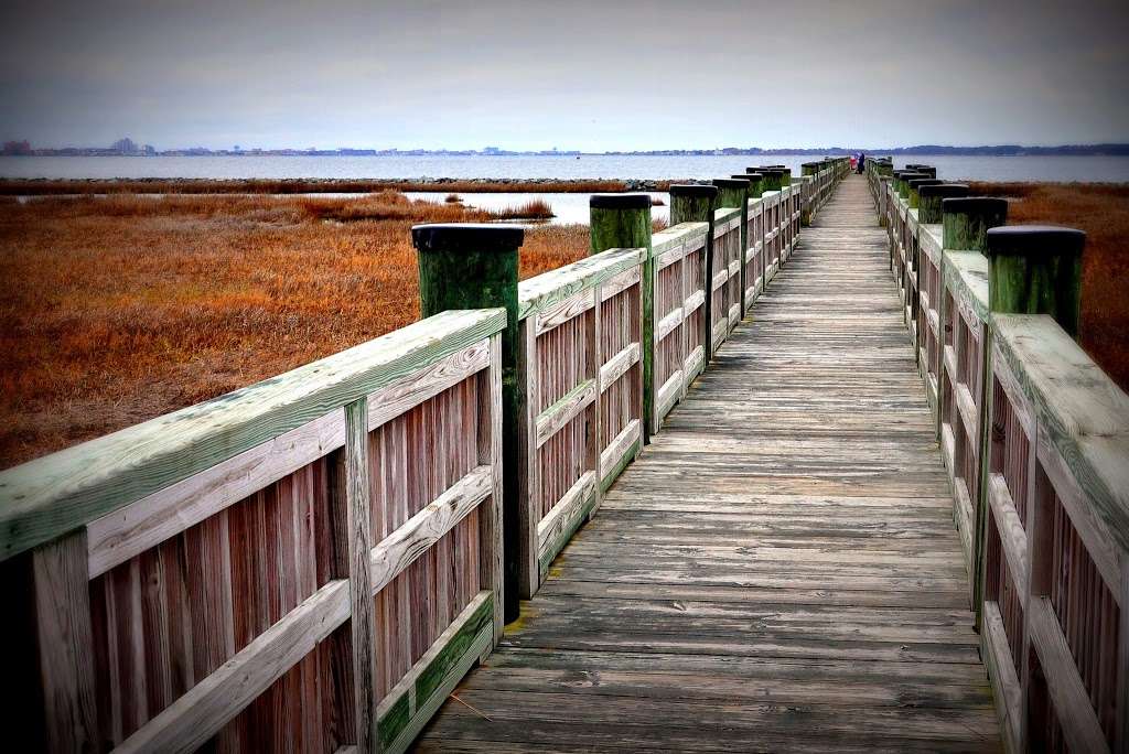 Public Fishing pier | 13070 St Martins Neck Rd, Bishopville, MD 21813, USA