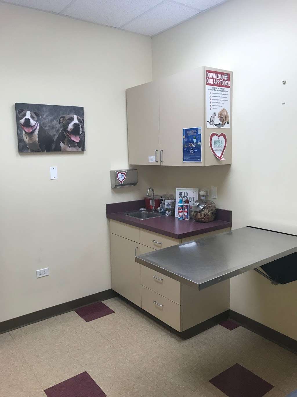 Companion Animal Hospital Round Lake | 415 N Wilson Rd, Round Lake, IL 60073 | Phone: (847) 270-0880