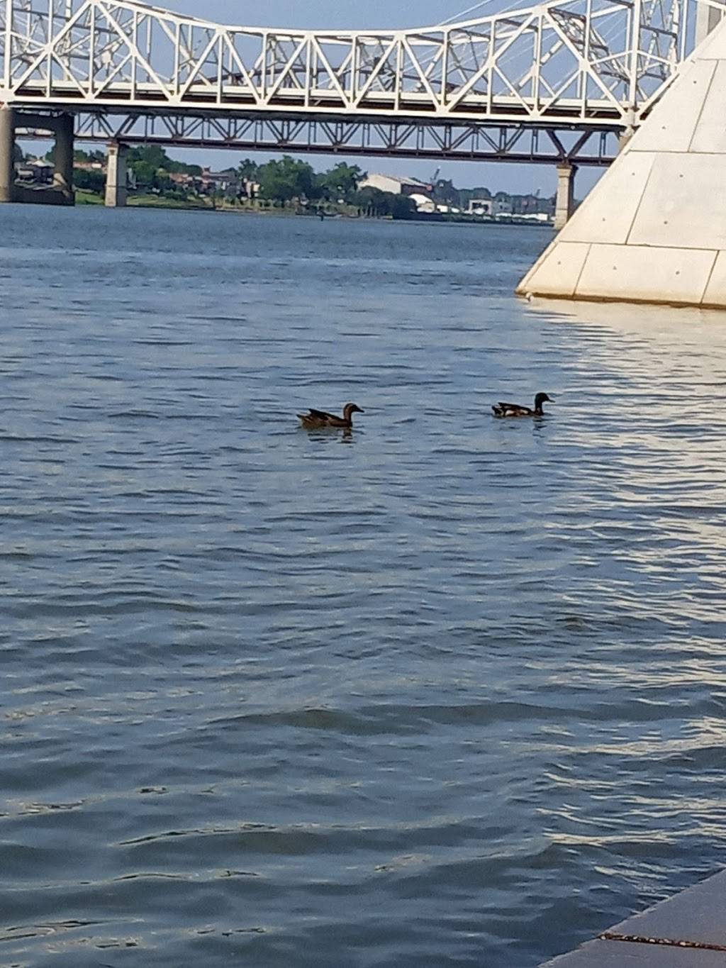 Main Office - Waterfront Development Corporation | Office, 129 E River Rd, Louisville, KY 40202 Actual address is 129 RIVER ROAD. There is NOT an E River Road in Louisville Metro. The roadway east of N 1ST Street is, W River Rd, Louisville, KY 40202, USA | Phone: (502) 574-3768