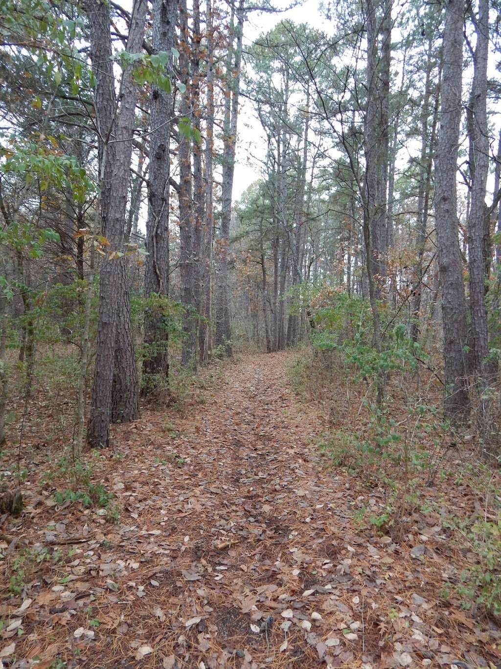 McAdoo Trailhead | Warrensburg, MO 64093, USA