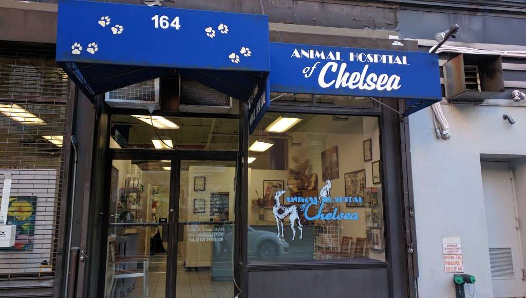 Animal Hospital of Chelsea | 164 W 21st St, New York, NY 10011 | Phone: (212) 243-3020
