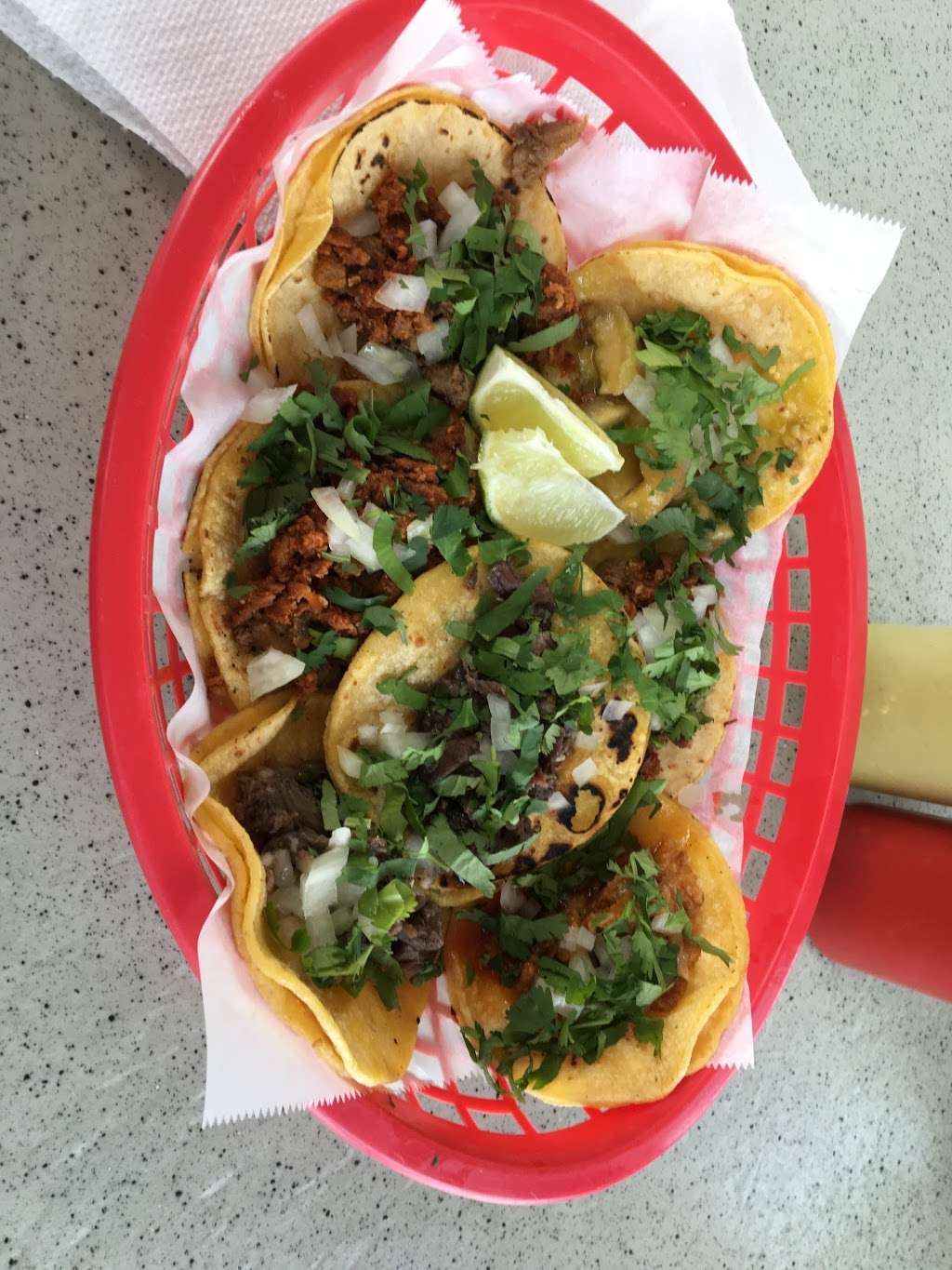 Taqueria El Pichon | 9027 Carraway Ln, Magnolia, TX 77354, USA | Phone: (281) 745-4178