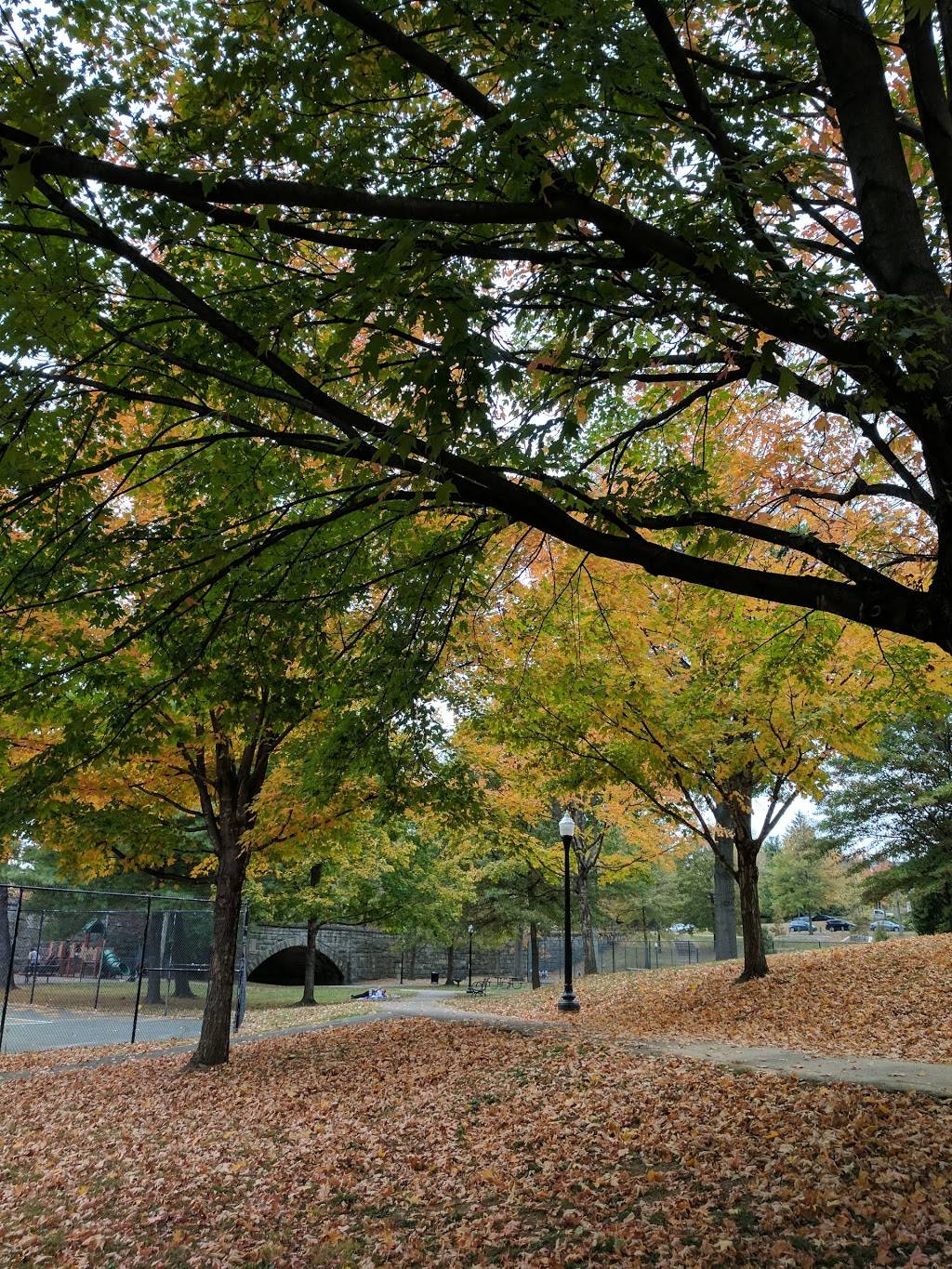 Tyler Park | 1501-1599 Castlewood Ave, Louisville, KY 40204, USA | Phone: (502) 574-7275 Tyler Park | 1501-1599 Castlewood Ave, Louisville, KY 40204, USA | Phone: (502) 574-7275