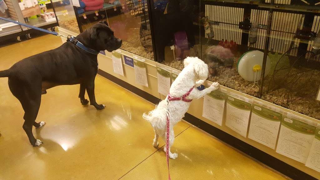 PetSmart | 21430 Wolf Rd, Mokena, IL 60448, USA | Phone: (815) 464-4979