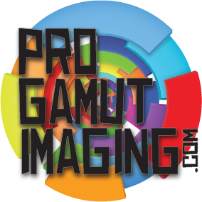 Pro Gamut Imaging | 240 S Elizabeth St, Elizabeth, CO 80107, USA | Phone: (303) 646-1234